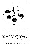 John K-J Li - Dynamics of the Vascular System, page 160